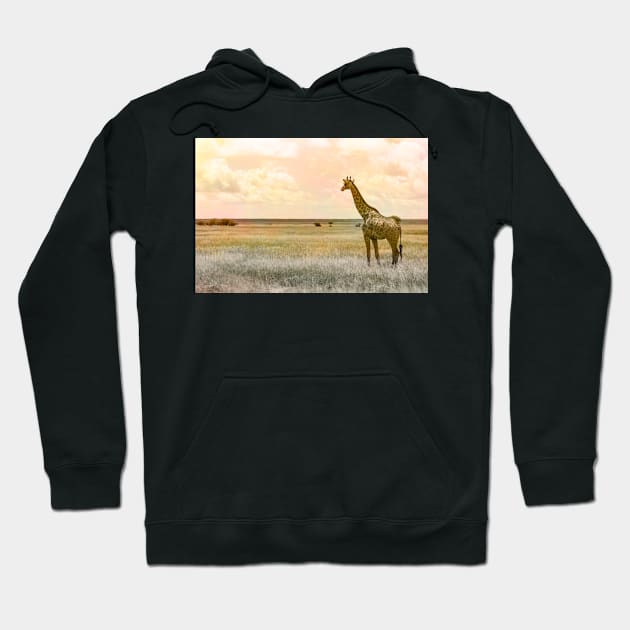 Day Dreaming Hoodie by calamarisky